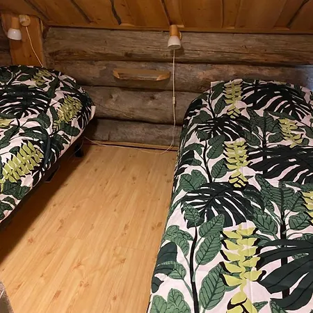 Log - Viprakka 4a