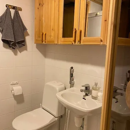 Dağ evi Log - Viprakka 4a *