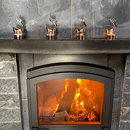 Log - Viprakka 4a Alpehytte *