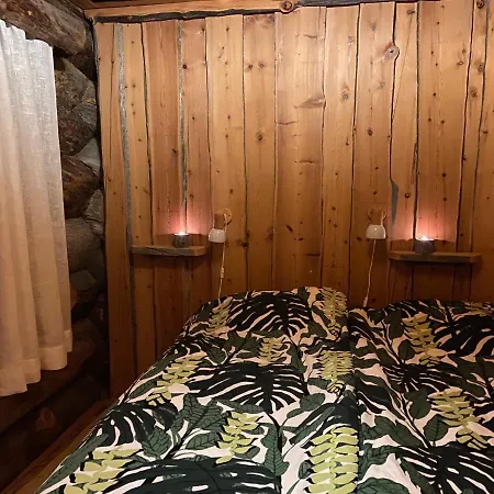 Log - Viprakka 4a * Levi