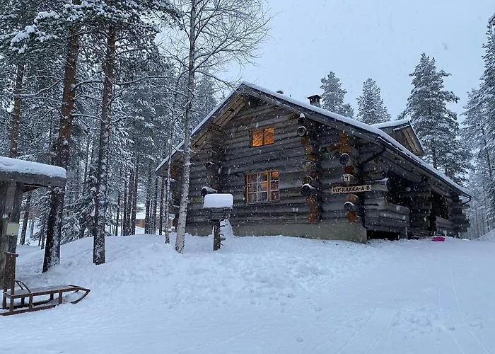 Log - Viprakka 4a * Levi