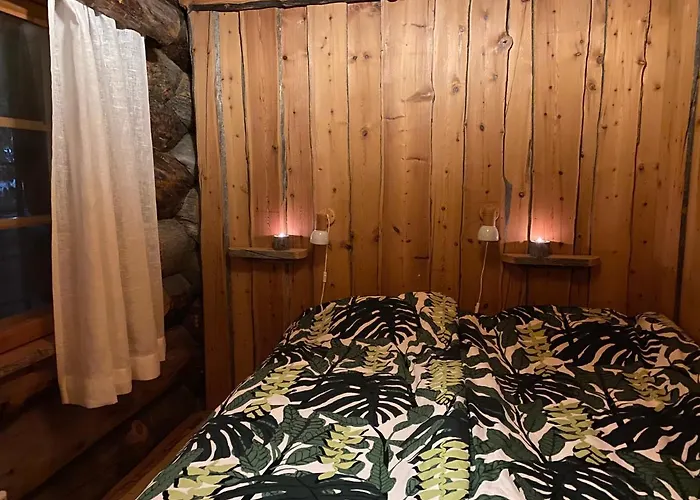 Log - Viprakka 4a * Levi